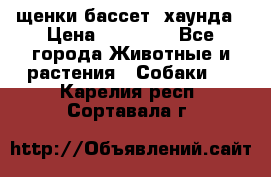 щенки бассет- хаунда › Цена ­ 20 000 - Все города Животные и растения » Собаки   . Карелия респ.,Сортавала г.